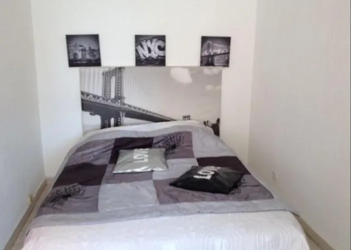 Grand Studio Nice Proche Plages Et Promenade Des Anglais